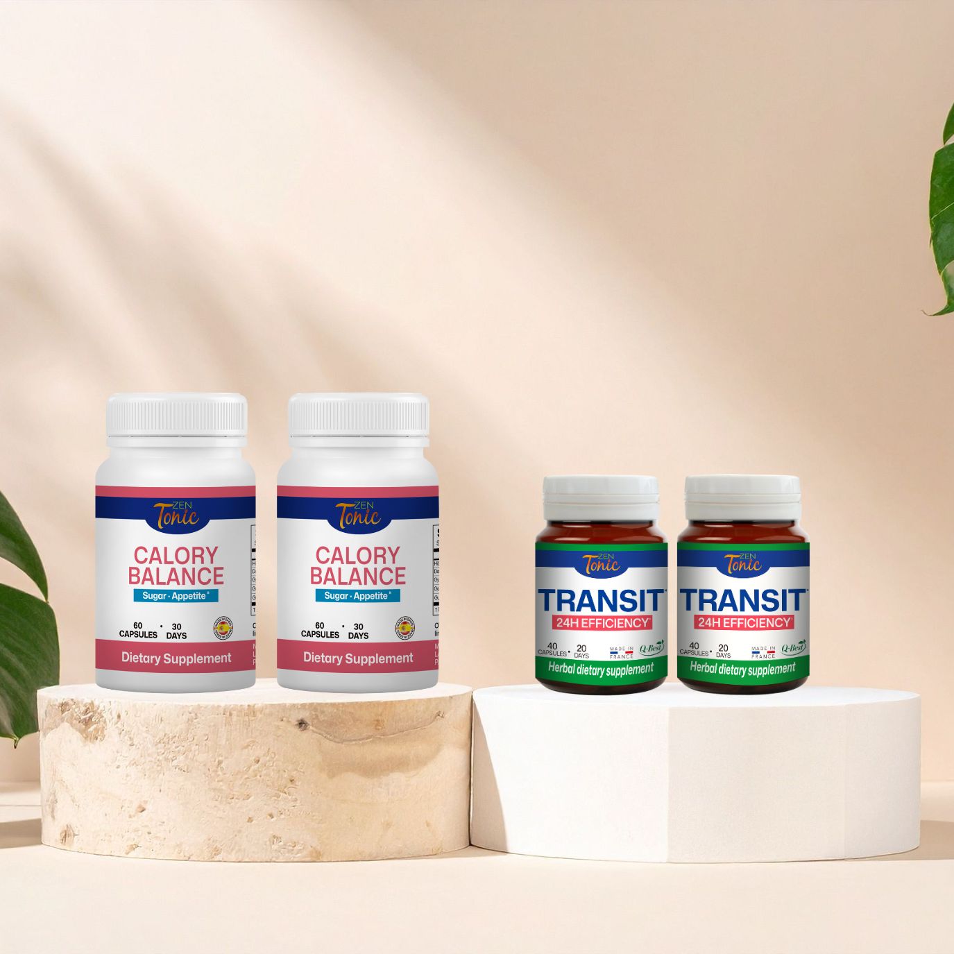 Day & Night Metabolic Burn Program 2