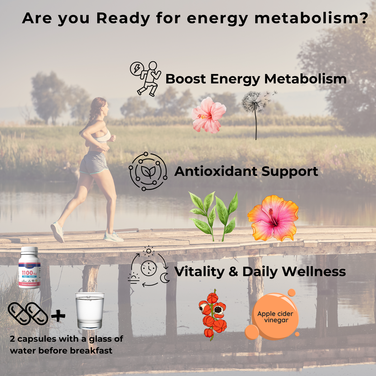 Day & Night Metabolic Support – 30 Day Program