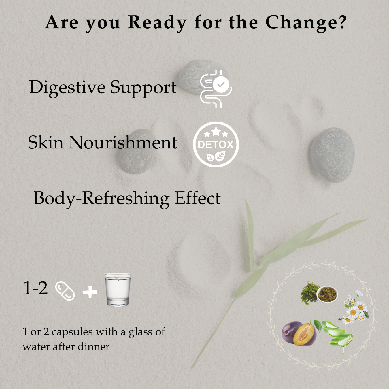 Zen&Tonic Transit Detox: 20-Day Digestive & Skin Nourishment All-Natural | 40 Capsules | Made in France