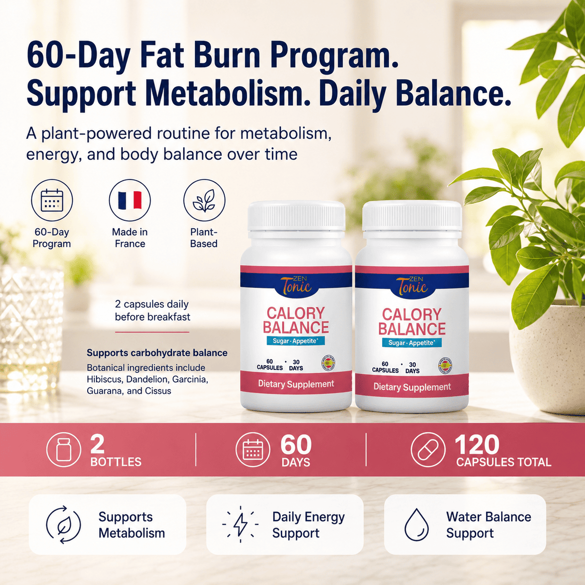 60-Day Fat Burn Program