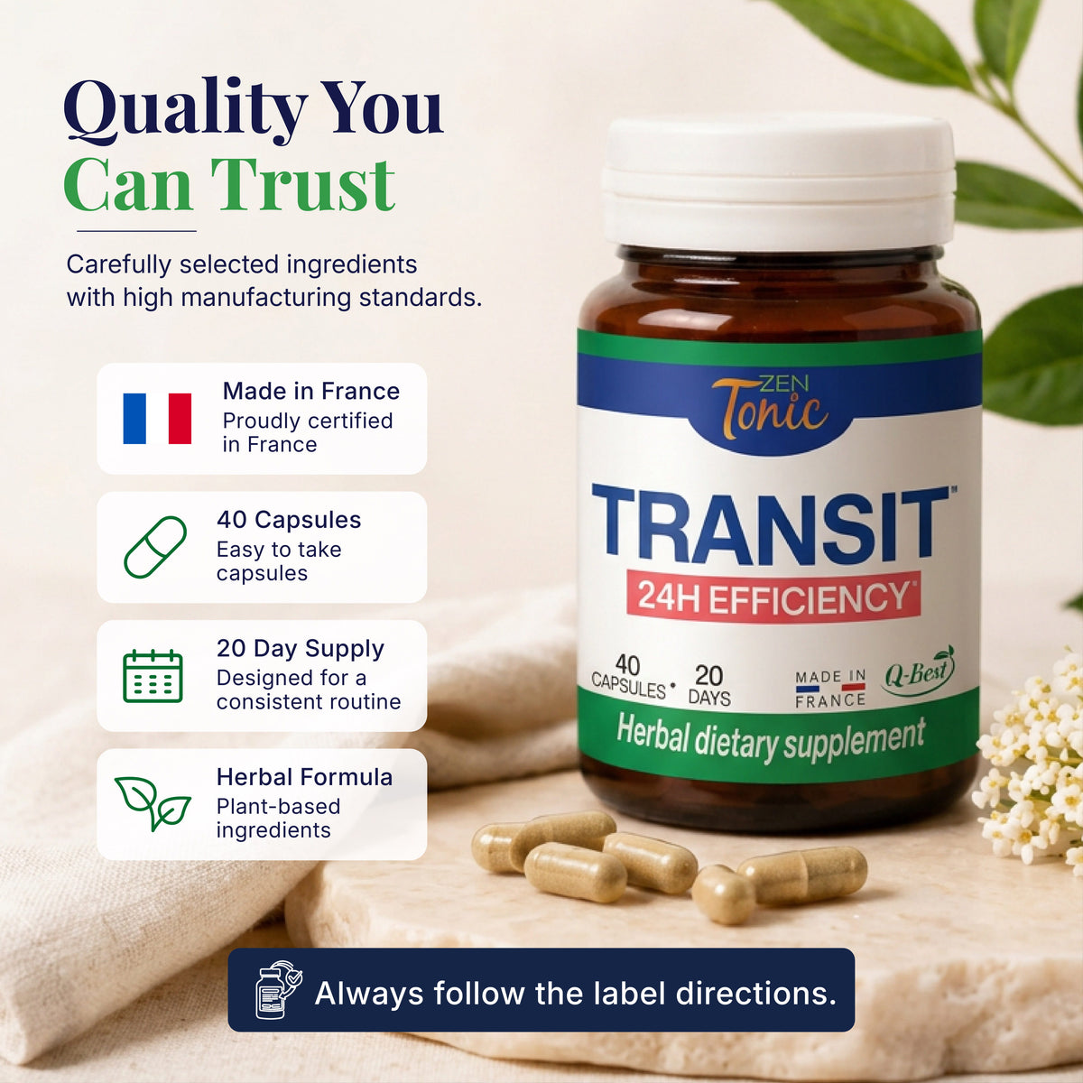 Transit 24H Efficiency | Digestive, Detox & Bloating Support